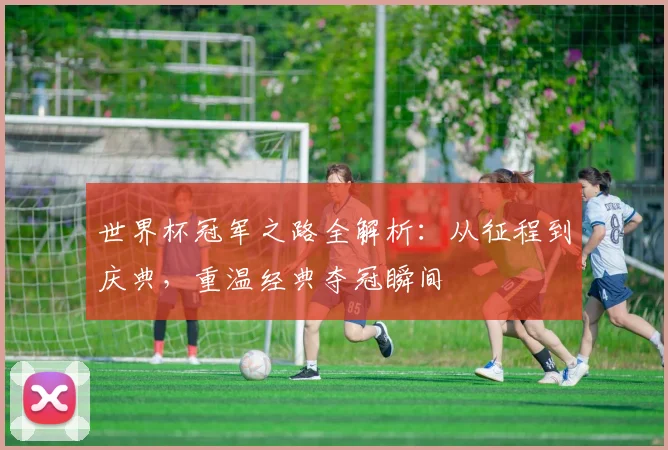 世界杯冠军之路全解析：从征程到庆典，重温经典夺冠瞬间